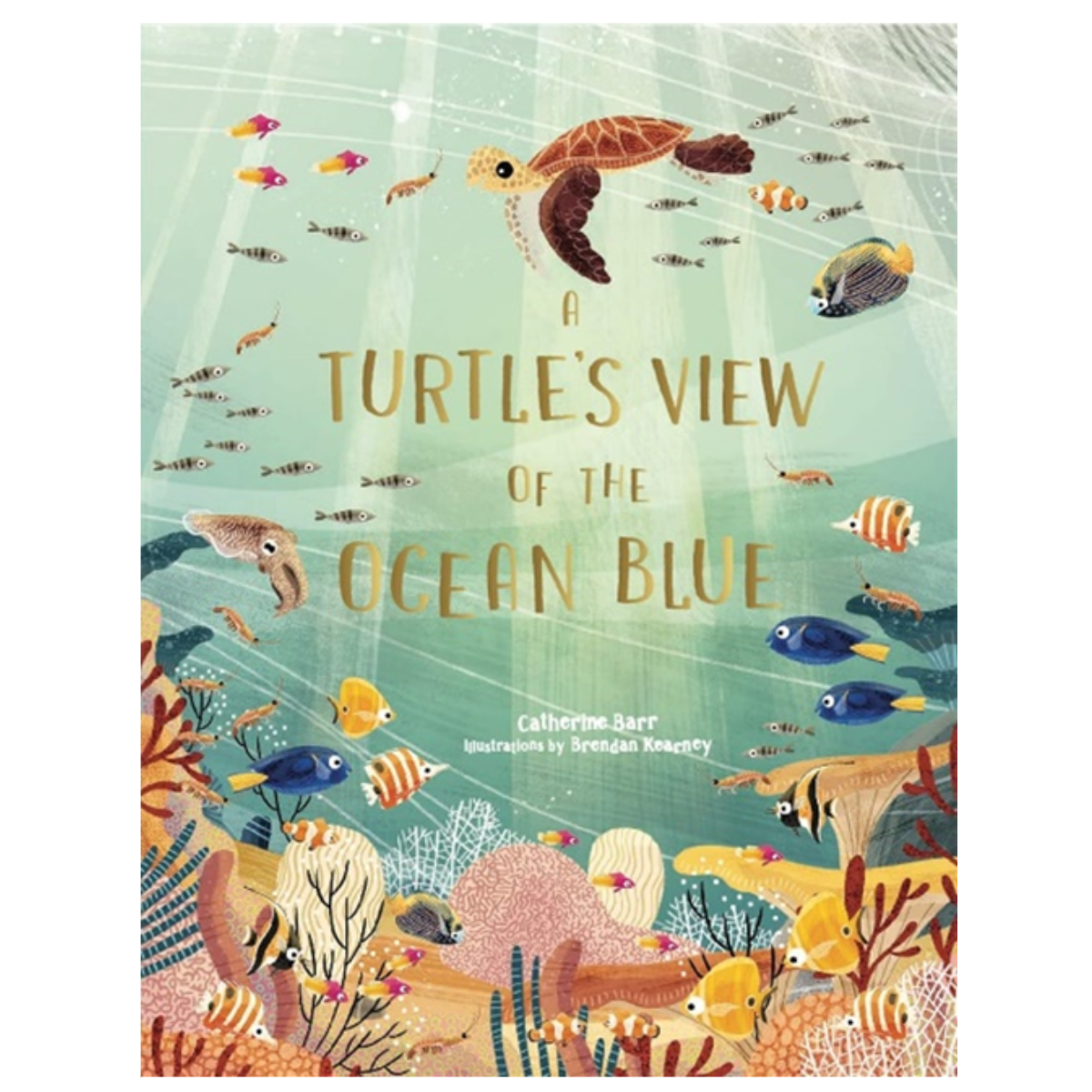 A Turtle’s View of the Ocean Blue