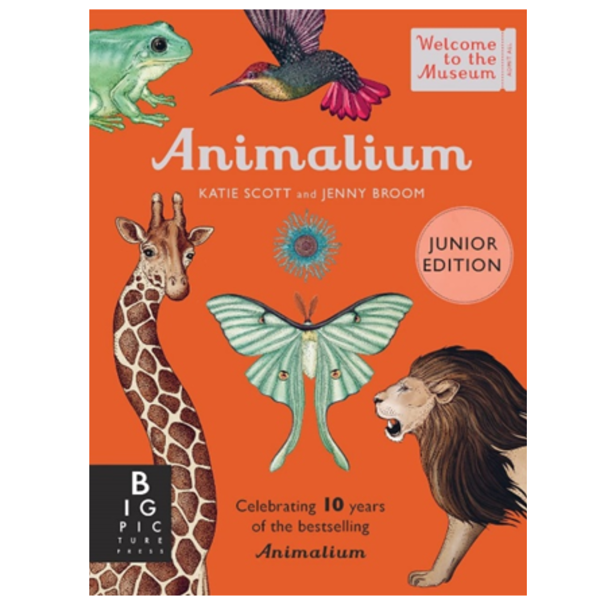 Animalium