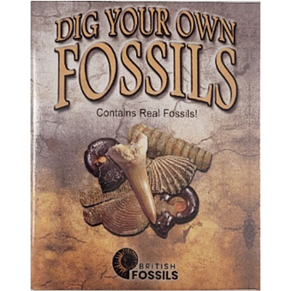 Fossils Kit