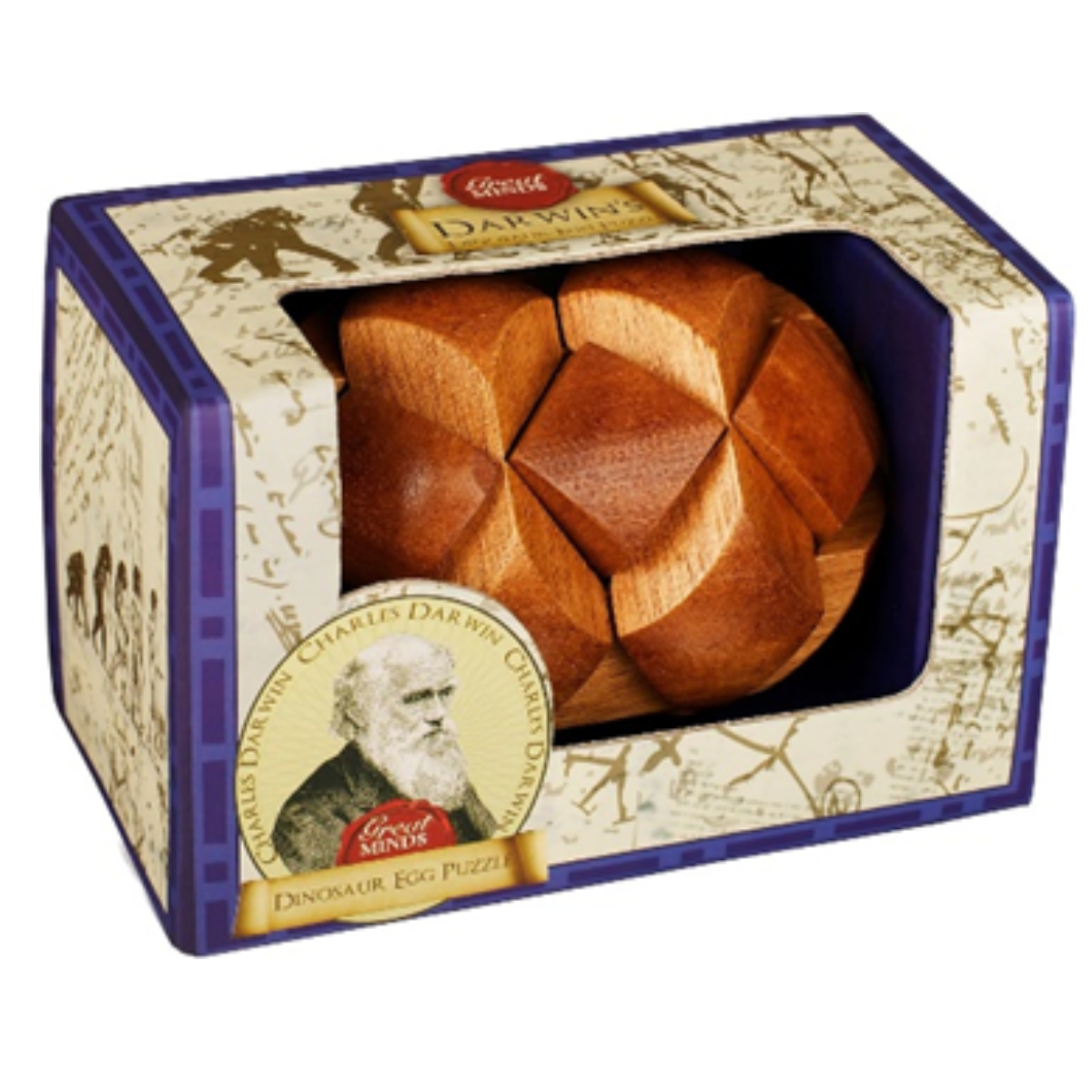 Darwin, Dinosaur Egg Puzzle