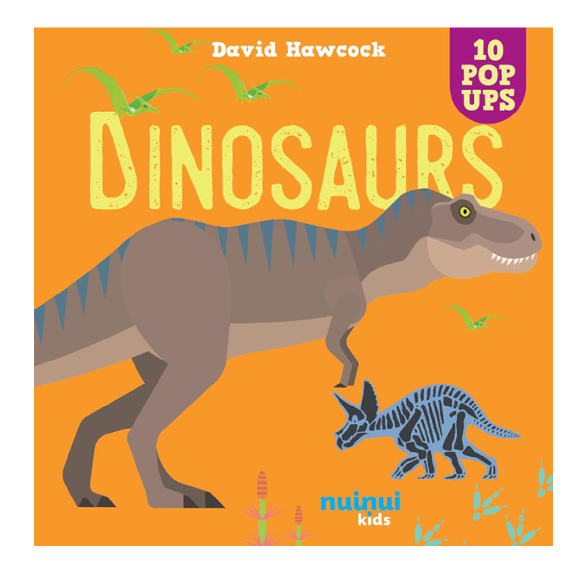 Dinosaurs Pop Up Book