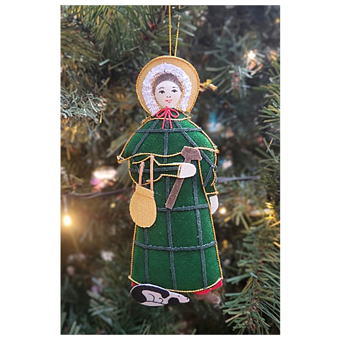 Mary Anning Decoration