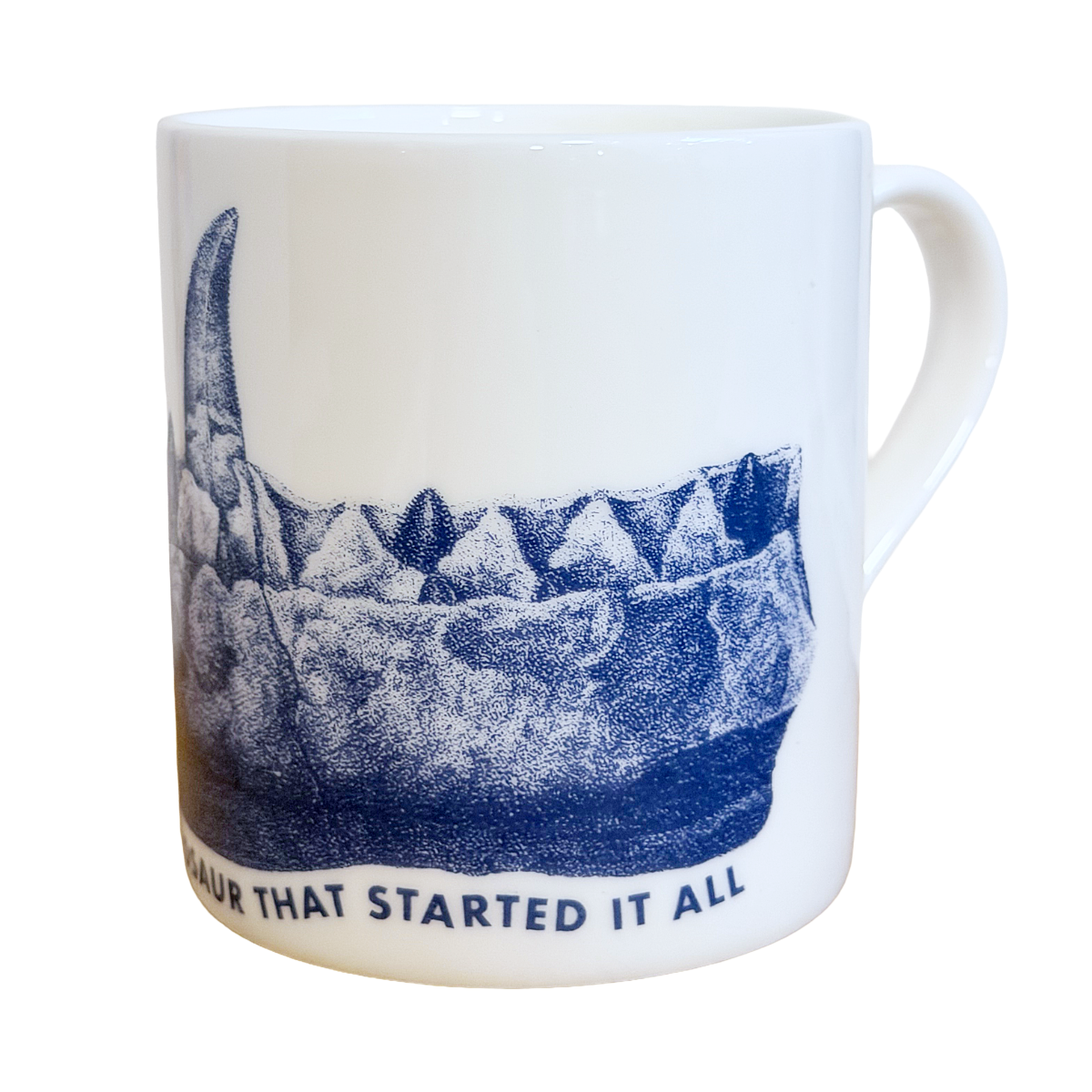 Megalosaurus Jaw mug