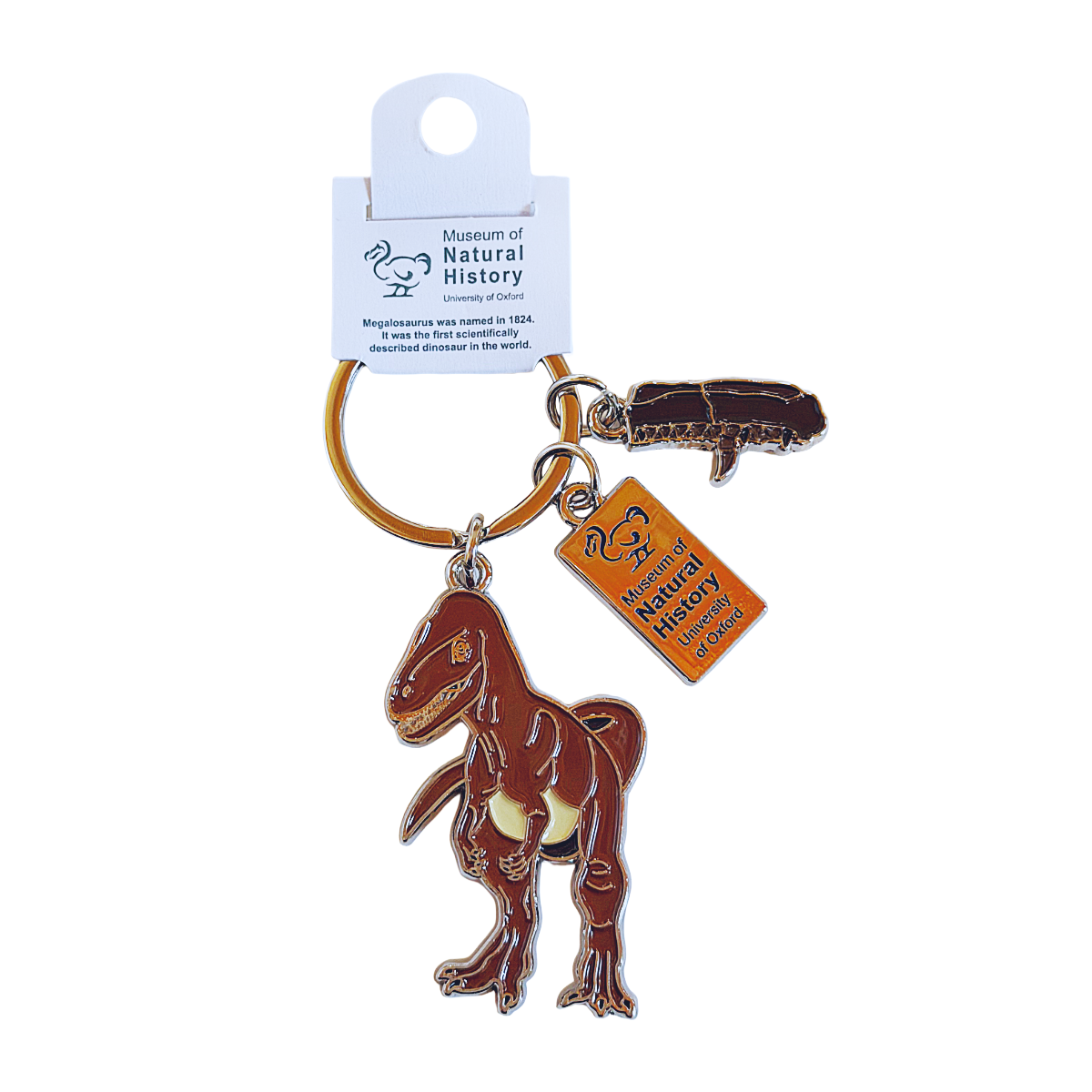 Megalosaurus Keyring