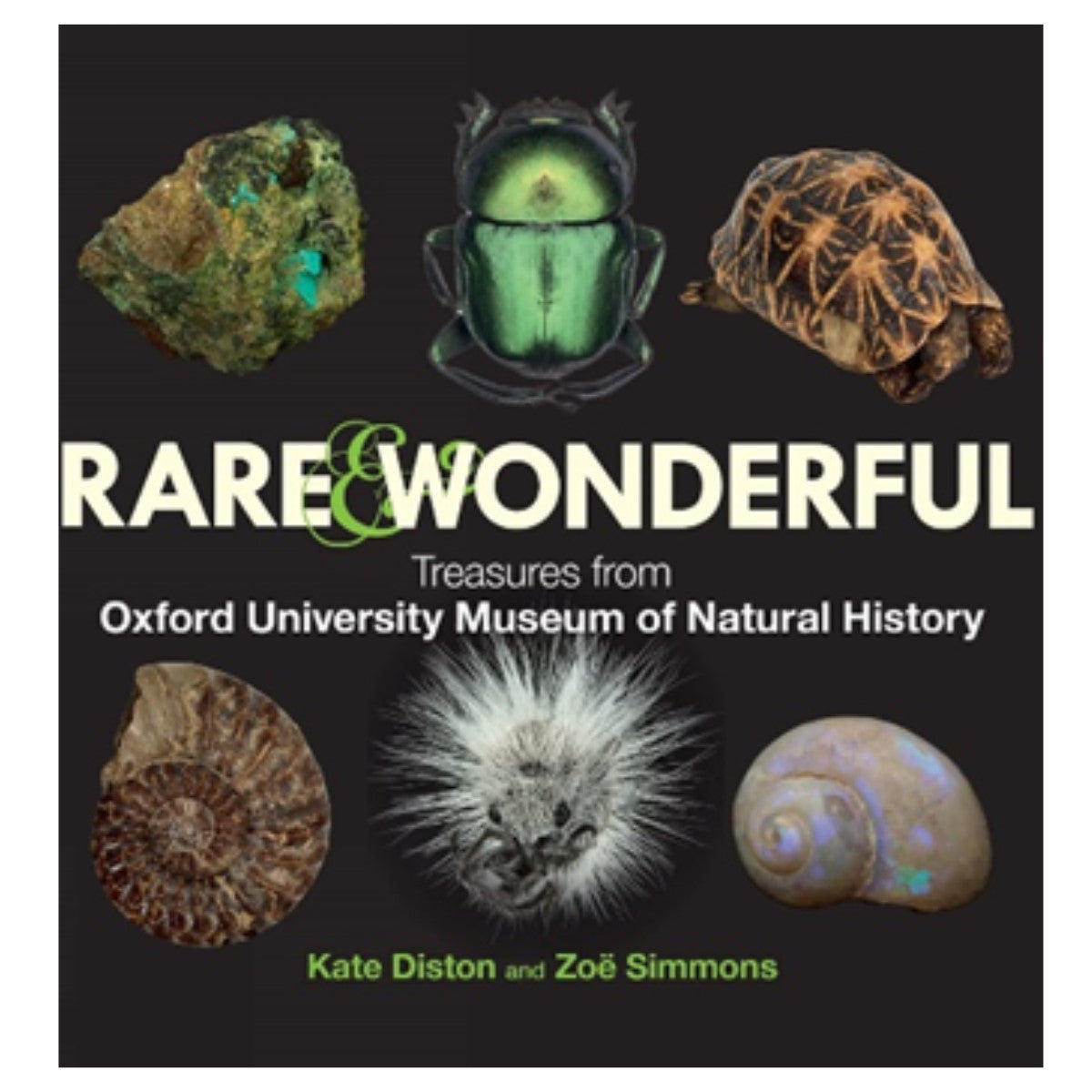 Rare & Wonderful: Treasures from Oxford University Museum of Natural History