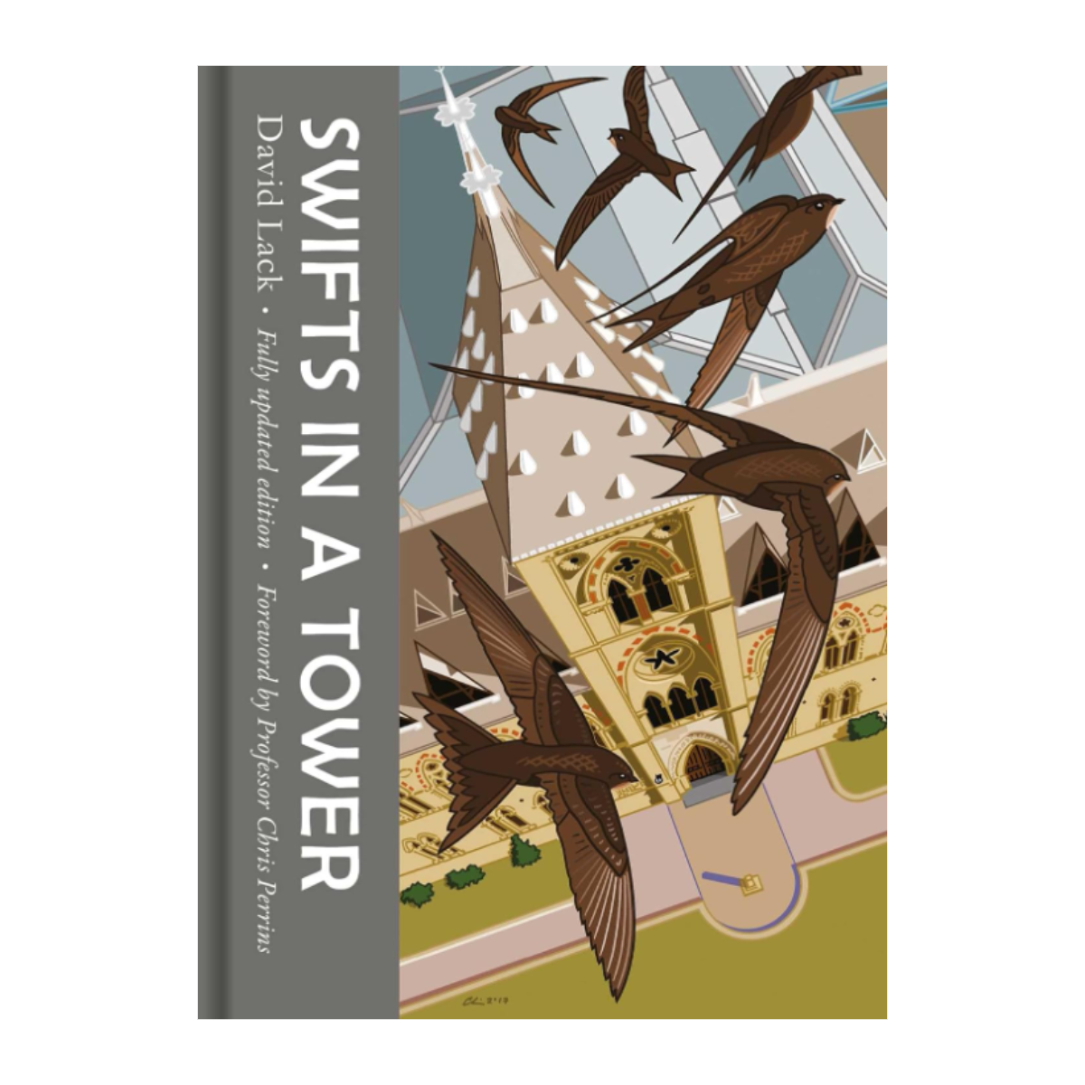 Swifts in a Tower