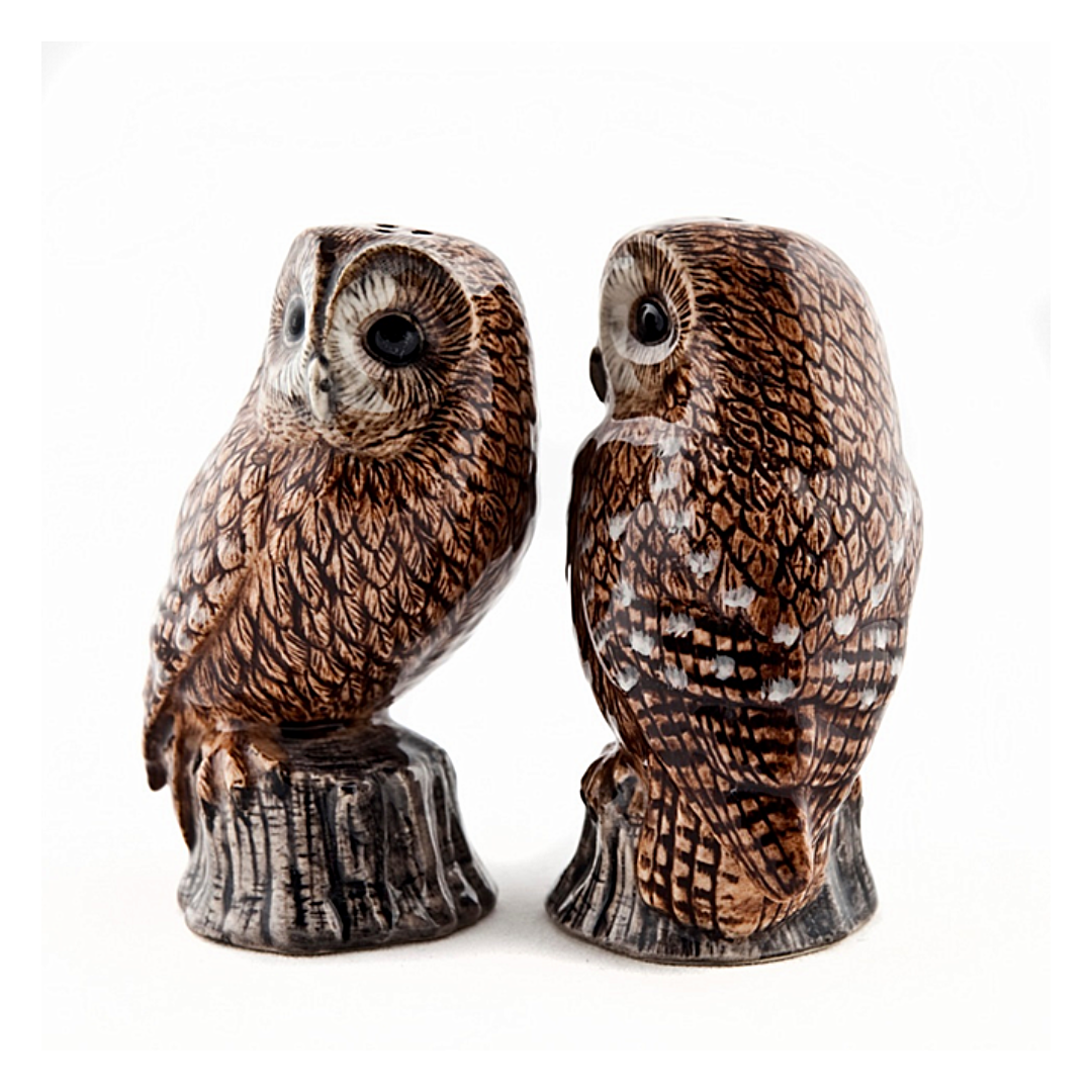 Tawny Owl Salt and Pepper Shakers