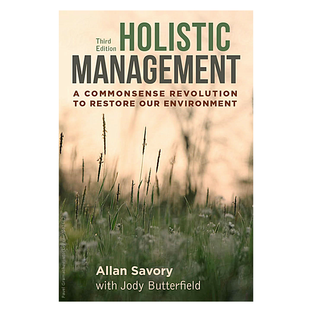 Holistic Management