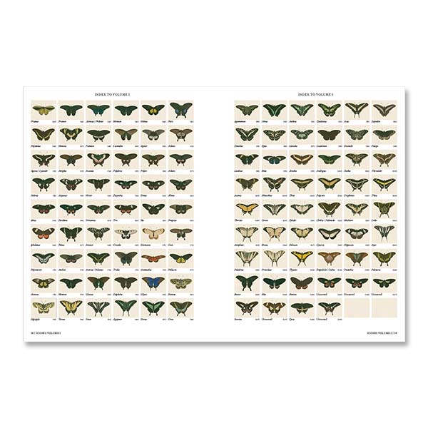 Iconotypes: A Compendium of Butterflies and Moths
