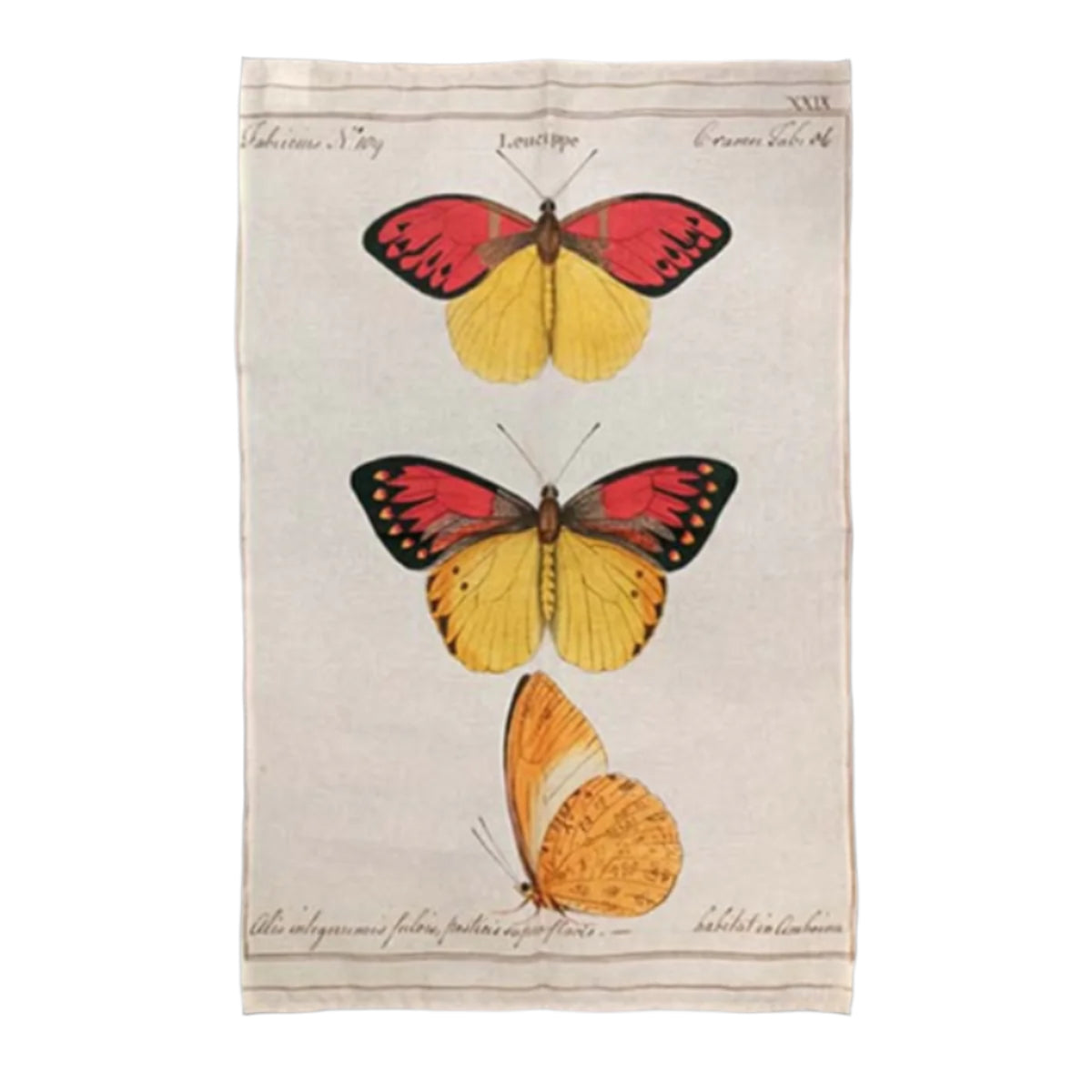 Orange Butterfly Iconotypes Tea Towel