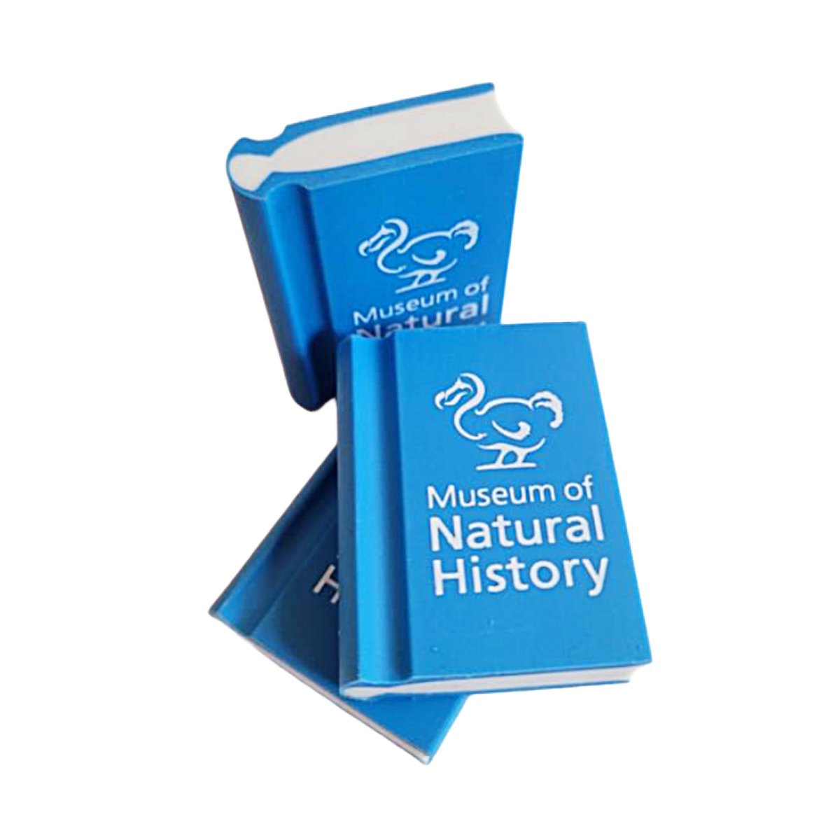 Eraser Oxford University Museum Of Natural History Eraser Oxford University Museum Of Natural History