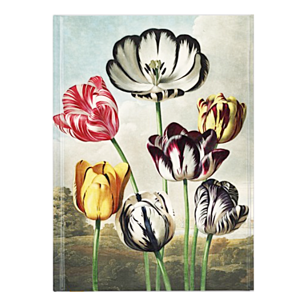 Robert John Thornton's : Tulips Notebook