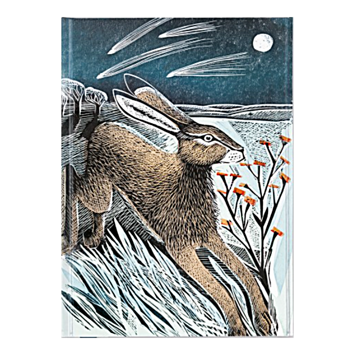 Angela Harding: Shooting Stars Notebook