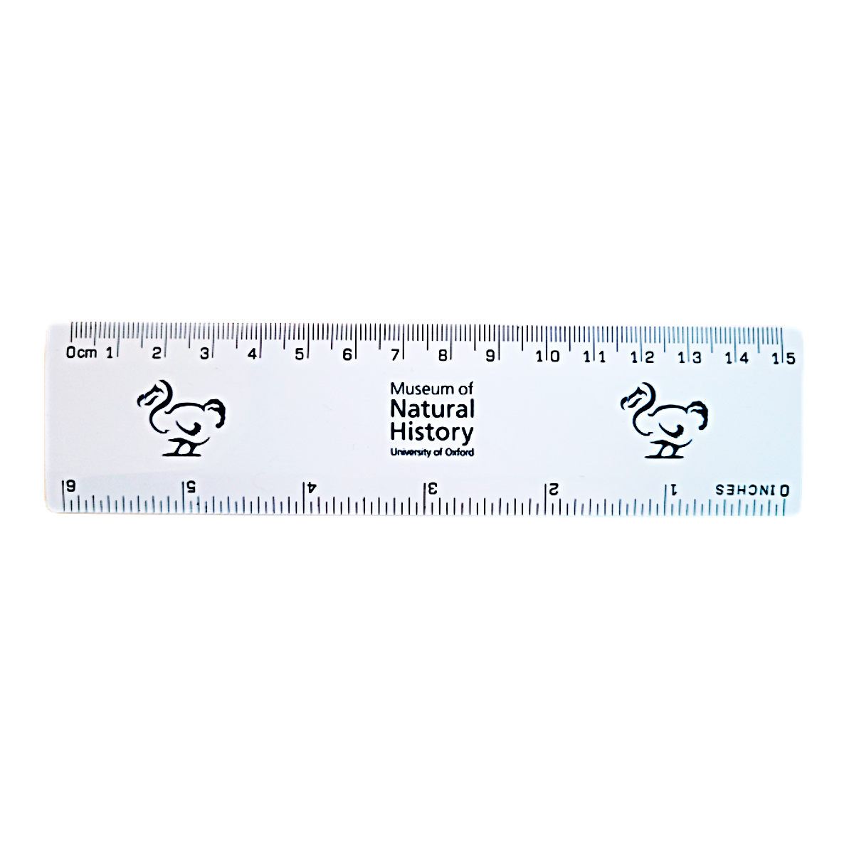 Ruler 15cm