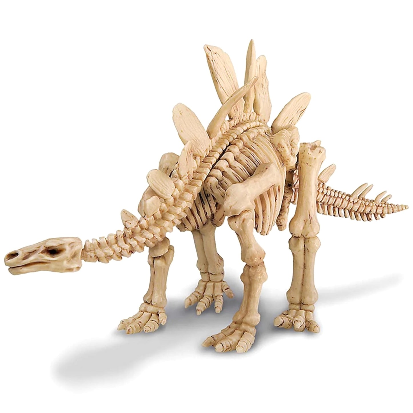 Dig A Dinosaur Skeleton - Stegosaurus
