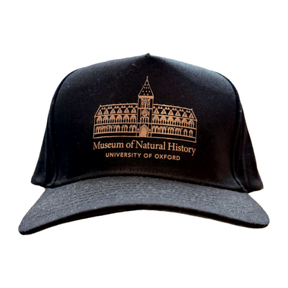 Museum Natural History Black Cap