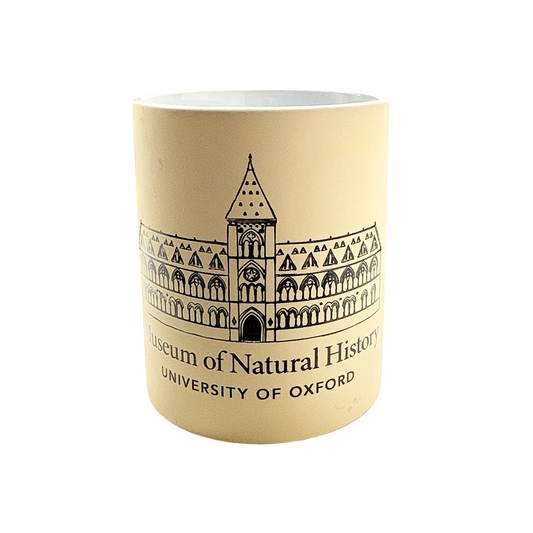 Museum of Natural History Mug - Building Cream