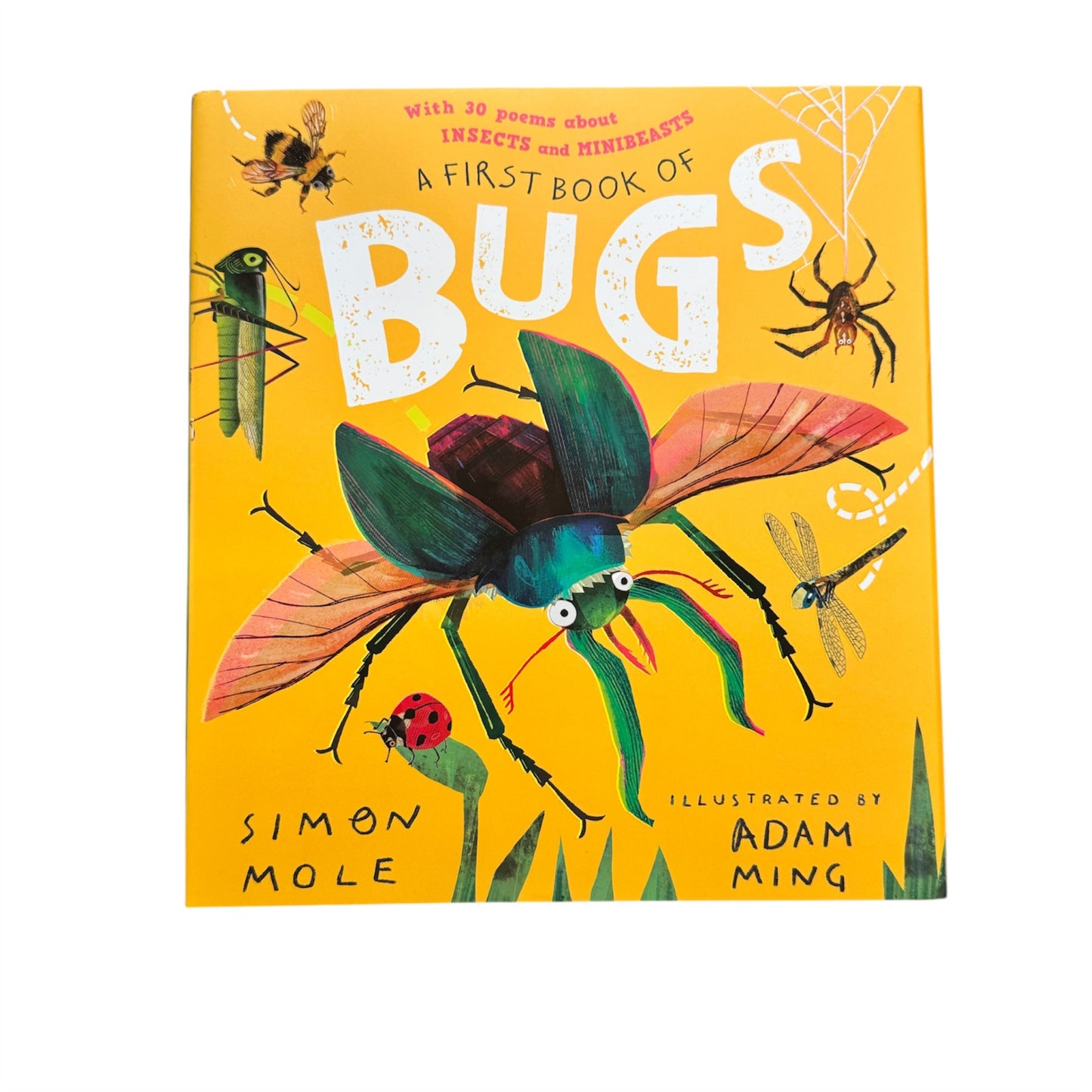 A first book of Bugs with 30 poems about insects and minibeasts