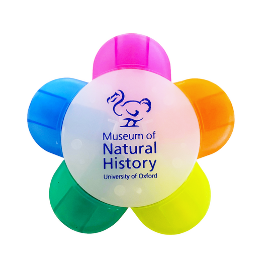 Highlighter Pen Transparent