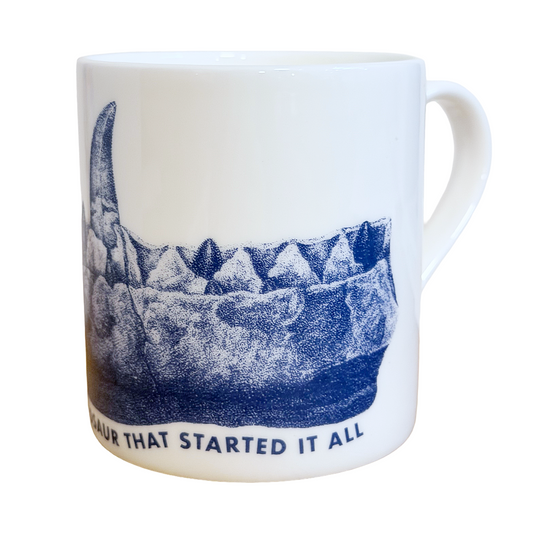 Megalosaurus Jaw mug
