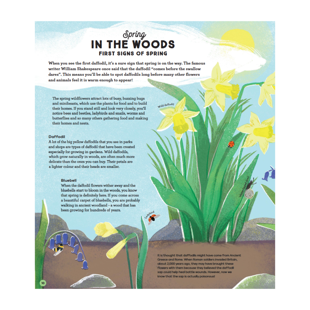 National Trust: A Story of the Seasons