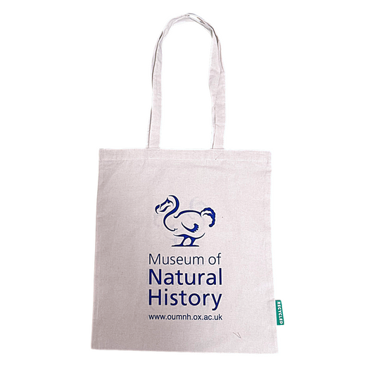 Natural Recycled Cotton tote Bag – Dodo Museum