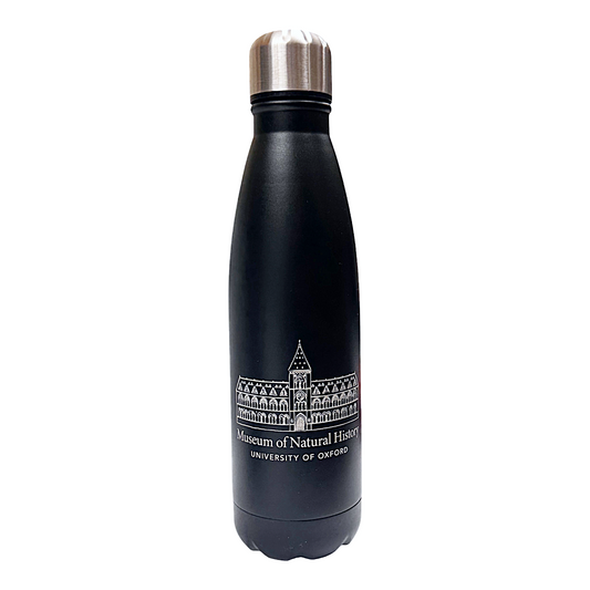 Museum of Natural History Black Water Bottle