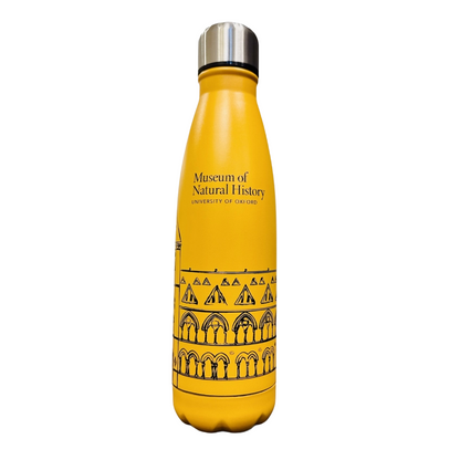 Museum of Natural History Yellow Water Bottle